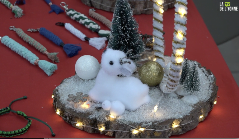 décoration marché de noël de Villeneuve-Sur-Yonne