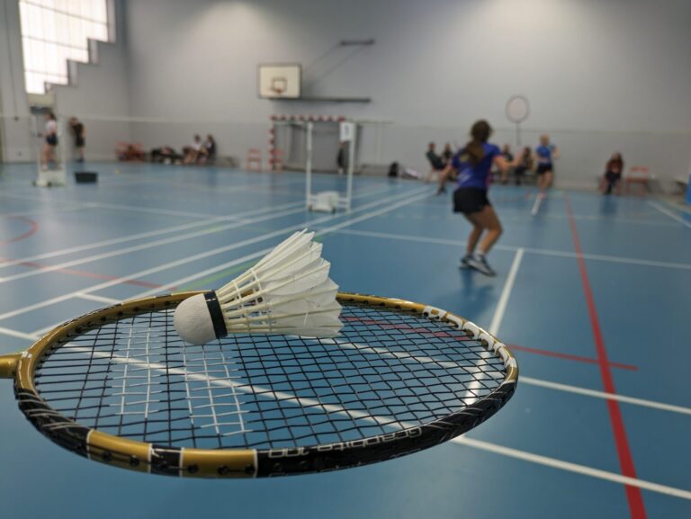 Championnat de Badminton