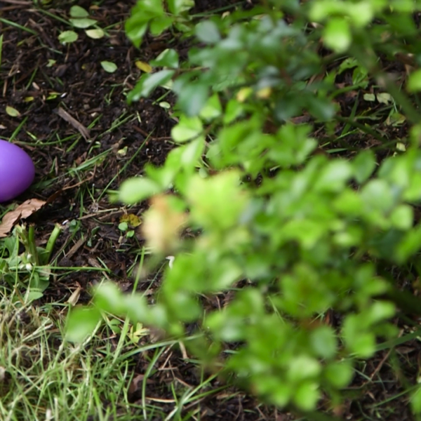 Chasse aux oeufs organisé pour Feÿ Art Festival