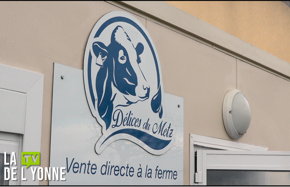 Logo des délices du Metz